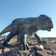 There are a lot of Dinosaures in Ischigualasto